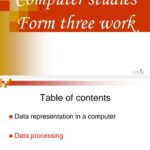 form 3 computer notes